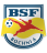 BSF ABJ Bochnia- logo