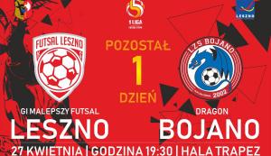 /uploads/assets/1777/leszno1.jpg